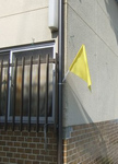 黄色い旗2-DSCF5417.jpg